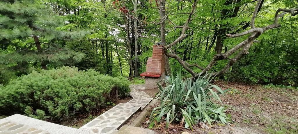 Cabana Din Padurea Valeni Vălenii de Munte Dış mekan fotoğraf