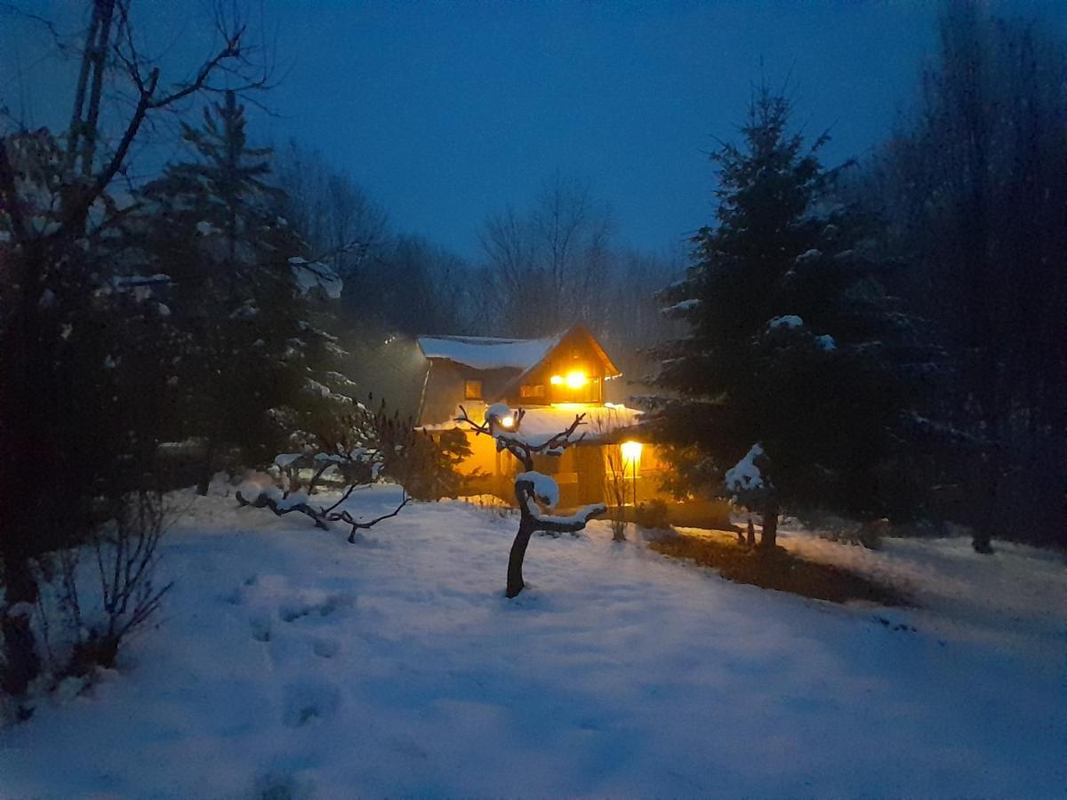Cabana Din Padurea Valeni Vălenii de Munte Dış mekan fotoğraf
