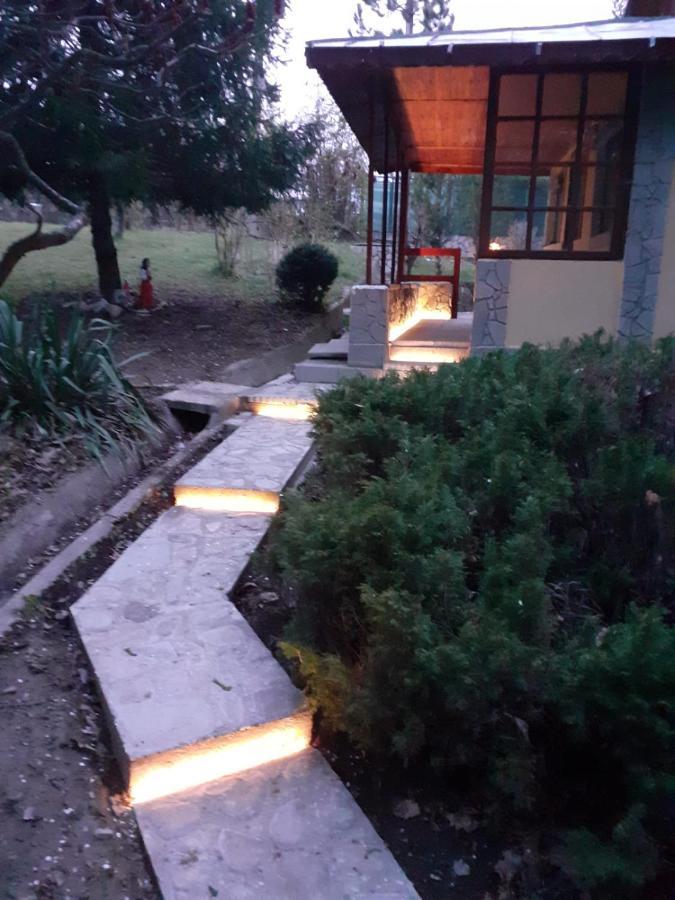 Cabana Din Padurea Valeni Vălenii de Munte Dış mekan fotoğraf
