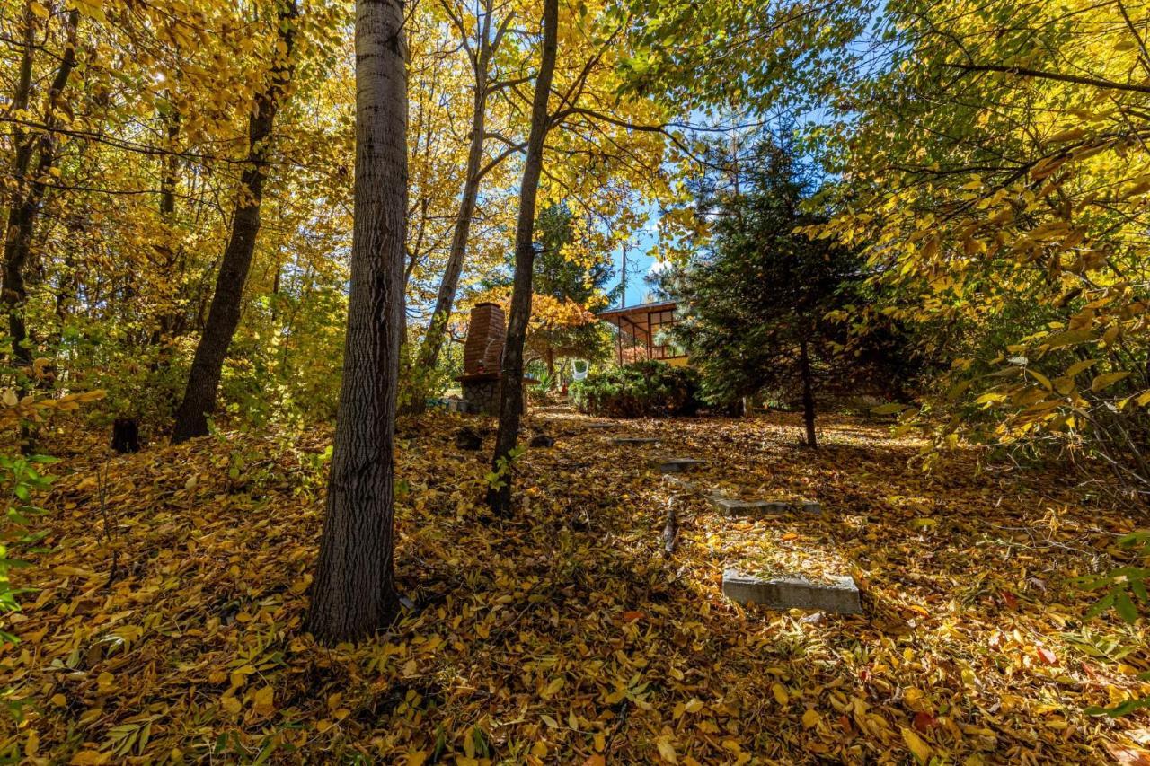 Cabana Din Padurea Valeni Vălenii de Munte Dış mekan fotoğraf