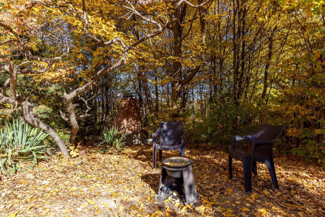 Cabana Din Padurea Valeni Vălenii de Munte Dış mekan fotoğraf