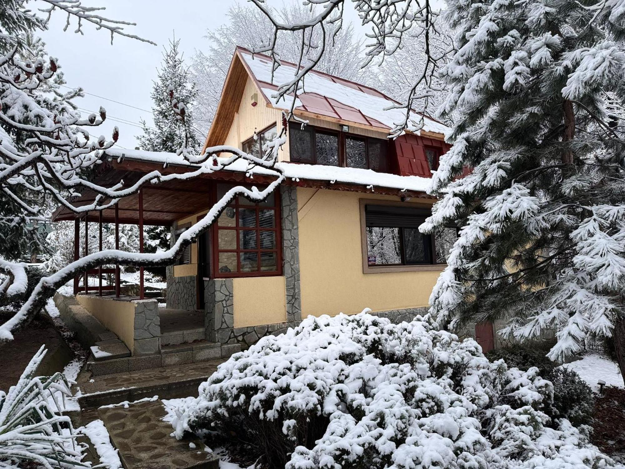 Cabana Din Padurea Valeni Vălenii de Munte Dış mekan fotoğraf