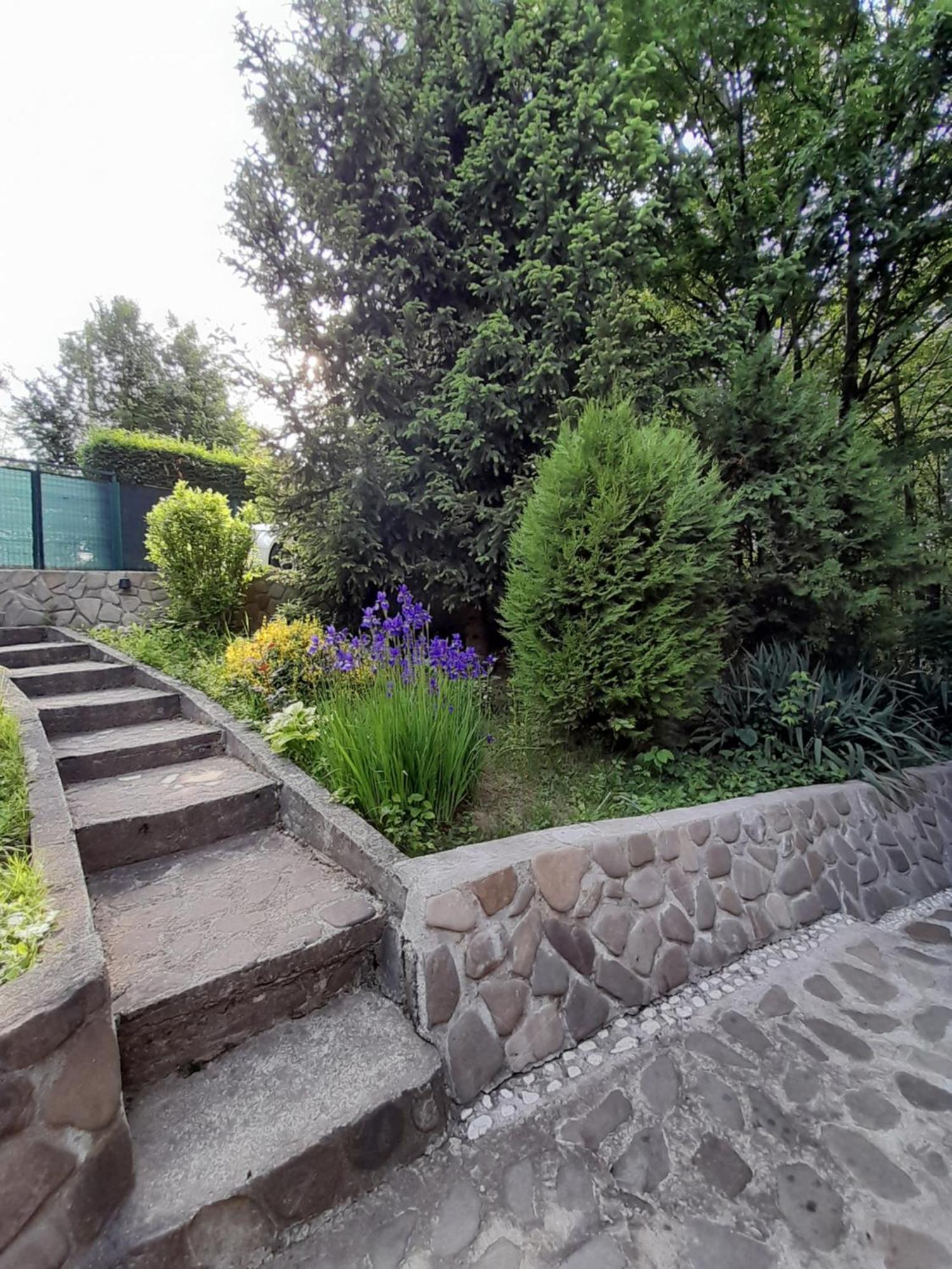 Cabana Din Padurea Valeni Vălenii de Munte Dış mekan fotoğraf
