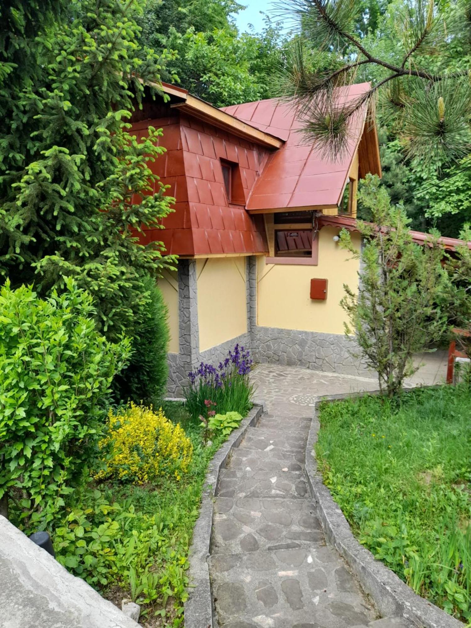 Cabana Din Padurea Valeni Vălenii de Munte Dış mekan fotoğraf